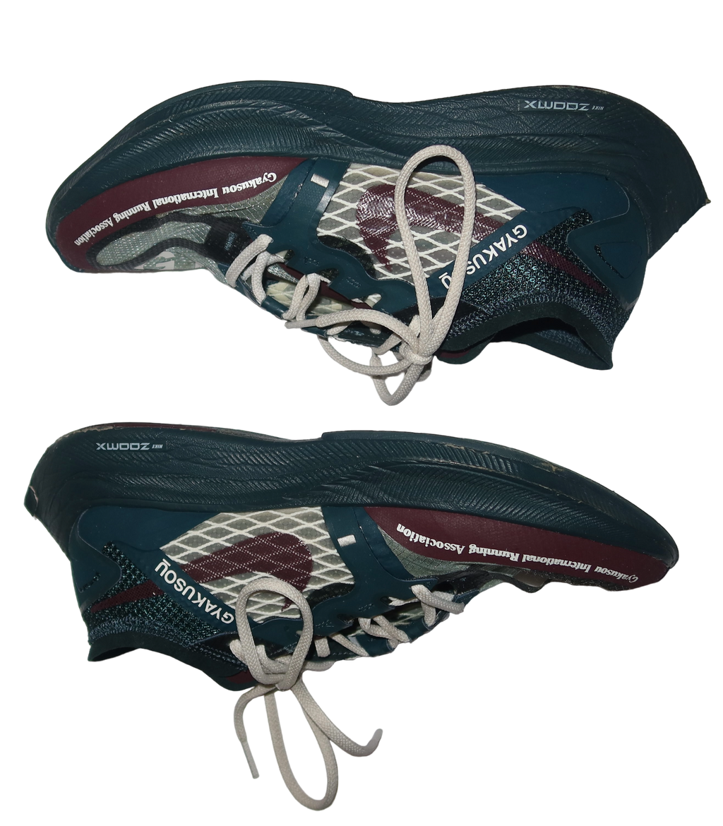 Zoomx/Vaporfly/Gyakusou